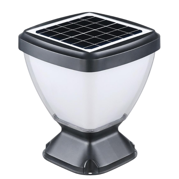 KOALA SOLAR SET ÜSTÜ