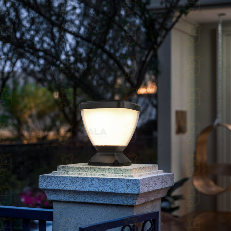 KOALA SOLAR SET ÜSTÜ