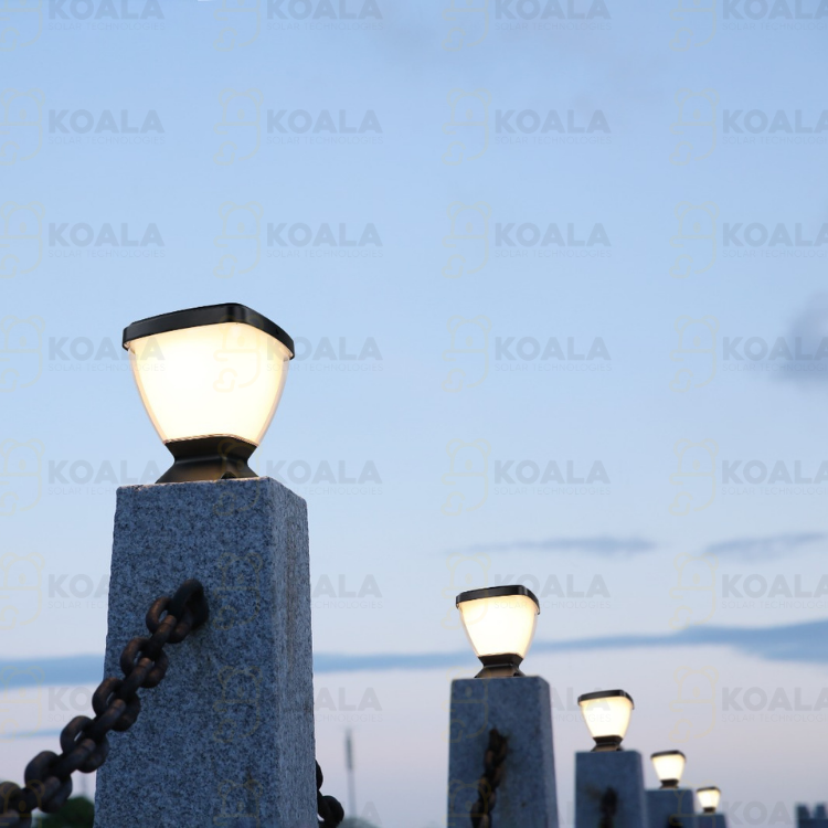 KOALA SOLAR SET ÜSTÜ